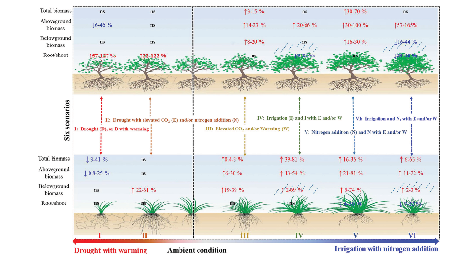 zhoulingyan1 zhoulingyan1